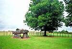 Dolmen Frankreich